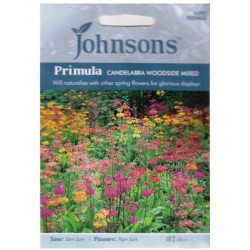 Kandelliabrinės raktažolės...