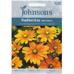 Plaukuotoji rudbekija Irish...