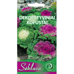 DEKORATYVINIAI KOPŪSTAI