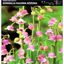 Pakalnutė - Rožinė...