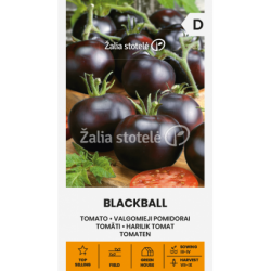 Pomidorai Valgomieji Blackball
