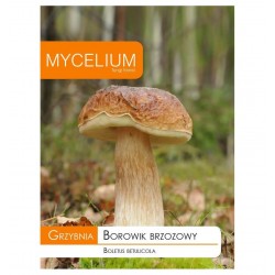 GRYBIENA BERŽYNINIS...