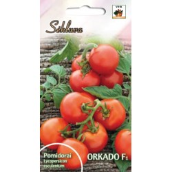 Valgomieji pomidorai Orkado F1