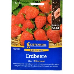 Svyrančios braškės Elan F1