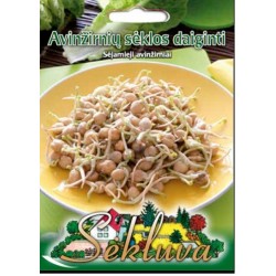 Avinžirnių sėklos daiginimui