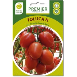 Pomidorai TOLUCA H (F1), 8...