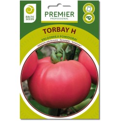 Pomidorai TORBAY H (F1), 15...