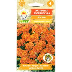 Gvazdikiniai serenčiai...