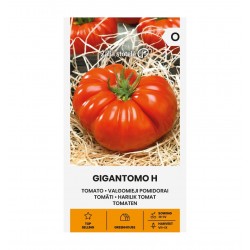 POMIDORAI VALGOMIEJI...