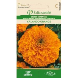 DIDIEJI SERENČIAI CALANDO...