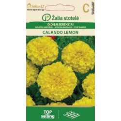 SERENČIAI DIDIEJI CALANDO...