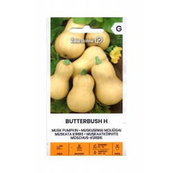 MOLIŪGAI MUSKUSINIAI...