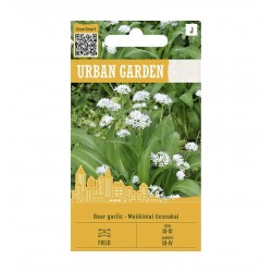 ČESNAKAI MEŠKINIAI BEAR...