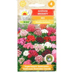 Šiurpiniai gvazdikai...