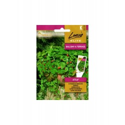 ŽEMUOGĖS SVYRANČIOS ATTILA...