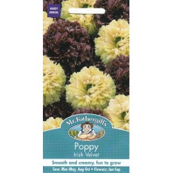 Aguonos dekoratyvinės Irish...