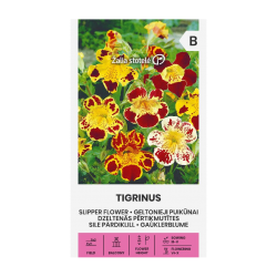 GELTONIEJI PUIKŪNAI...