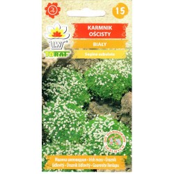 Siūlinės žiemenės ( sagina)...