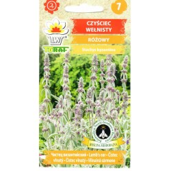 Vilnotosios notros (lot....