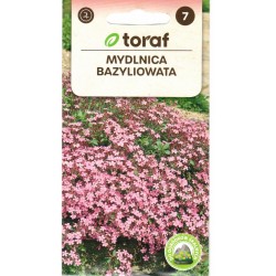 Bazilikiniai putokliai...