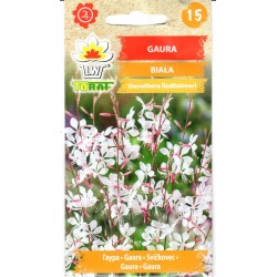 Gauros (lot. Gaura lindheiri)