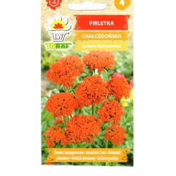 Goštautinės gaisrenos...