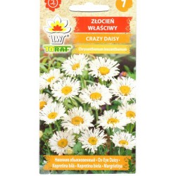 Didžiosios baltagalvės...