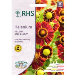 Rudeninės saulainės Helena...