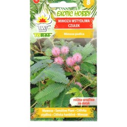 Jautriosios mimozos (lot....