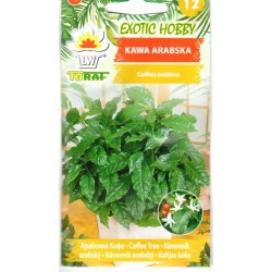 Arabiniai kavamedžiai (lot....