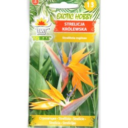 Puošniosios strelicijos...