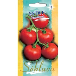 Valgomieji pomidorai Syta F1