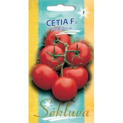 Valgomieji pomidorai Cetia F1