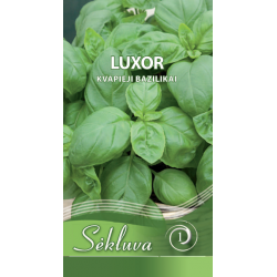 Kvapieji bazilikai (Luxor...