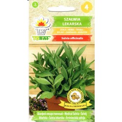 Vaistiniai šalavijai (lot....