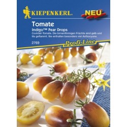 Valgomieji pomidorai Indigo...