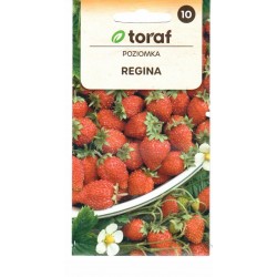 Paprastosios žemuogės...