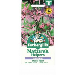 Šilkažiedės gaisrenos (lot....