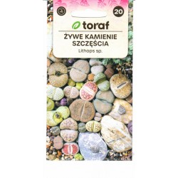 Litopsiai (Gyvieji akmenys)...