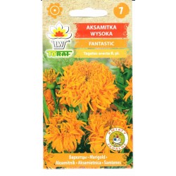 Didieji serenčiai Fantastic...