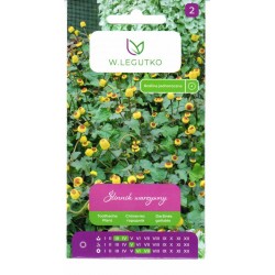 Daržinės gailutės (lot....