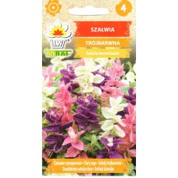 Dailieji šalavijai (lot....