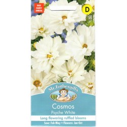 Paprastosios kosmėjos...