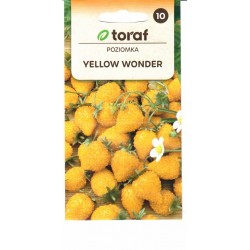 Paprastosios žemuogės...