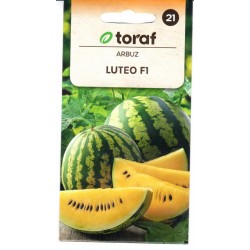 Tikrieji arbūzai Luteo F1