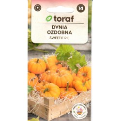 Paprastieji moliūgai...