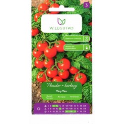 Valgomieji pomidorai Tiny Tim