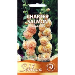Piliarožės Charter salmon