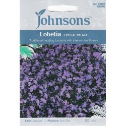 PAPRASTOJI LOBELIJA...