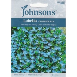 Paprastoji lobelija...